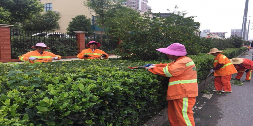 新站區(qū)道路清掃保潔、綠化管養(yǎng)項目