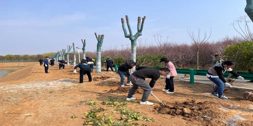 黨建引領(lǐng)共植綠 凝心聚力譜新篇 ——和合生態(tài)、德嘉置業(yè)黨支部赴小廟基地義務(wù)植樹